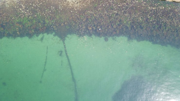 Müsilaj İstanbul'a döndü