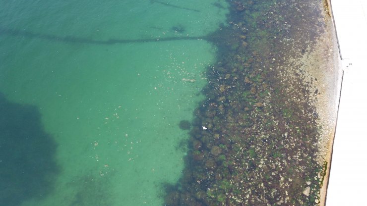 Müsilaj İstanbul'a döndü