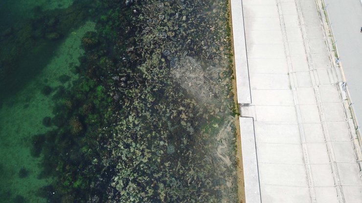 Müsilaj İstanbul'a döndü