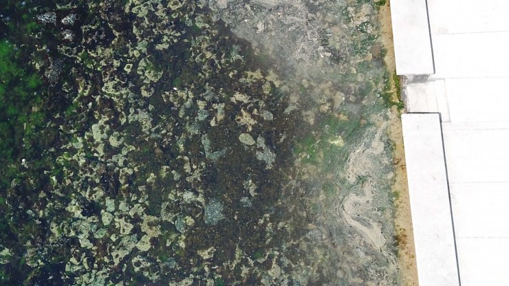 Müsilaj İstanbul'a döndü