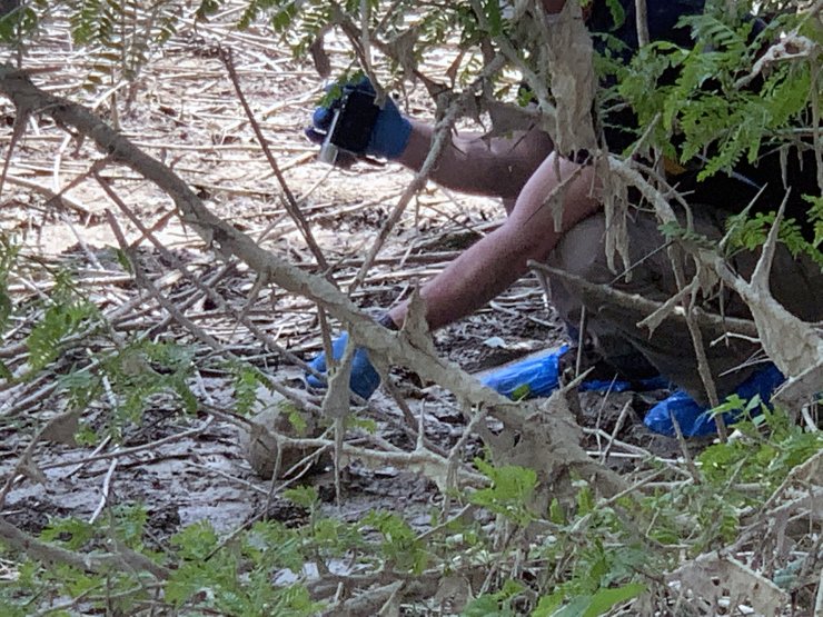 Seyhan Nehri kıyısında insan kemikleri ve kafatası bulundu