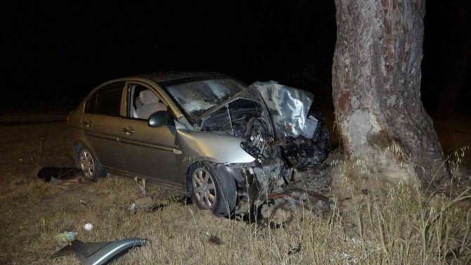 Alkollü sürücü çam ağacına çarptı