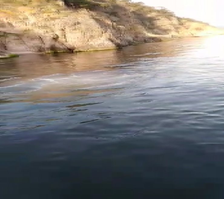 Denize lağım suyu karıştı