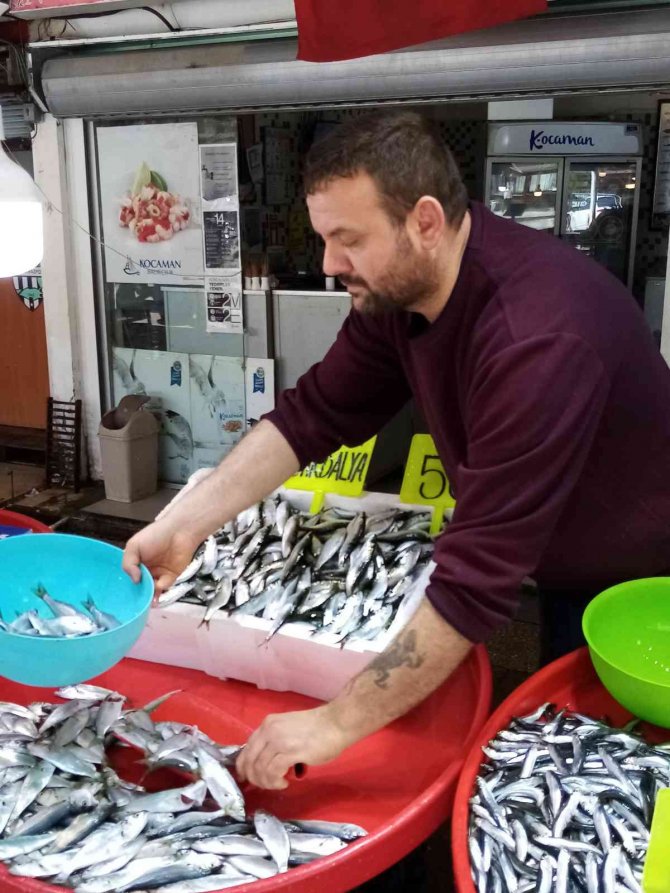 Halde balık miktarı arttı, fiyatları düştü