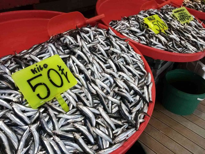 Halde balık miktarı arttı, fiyatları düştü