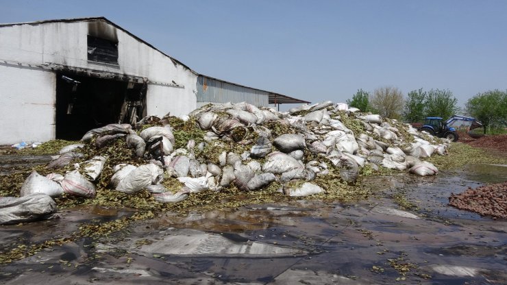 'Kuşum kaçtı' diyerek çatısına çıktığı fabrikayı benzin döküp yaktı