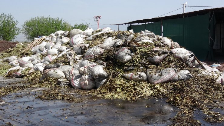 'Kuşum kaçtı' diyerek çatısına çıktığı fabrikayı benzin döküp yaktı