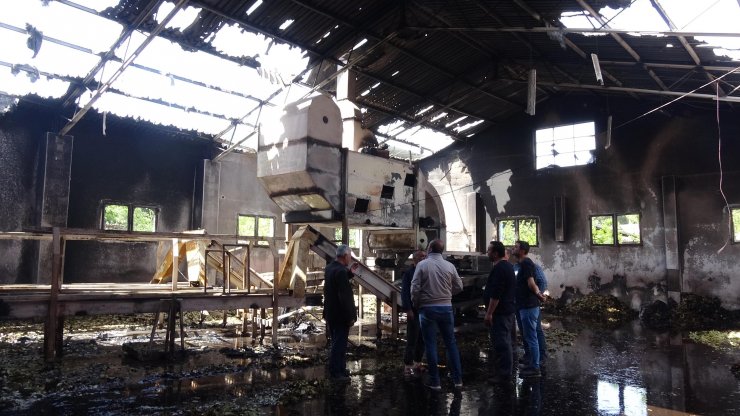 'Kuşum kaçtı' diyerek çatısına çıktığı fabrikayı benzin döküp yaktı