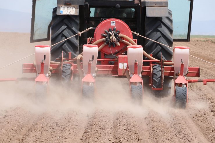 En büyük ikinci 'tahıl ambarı'nda kuraklık endişesi