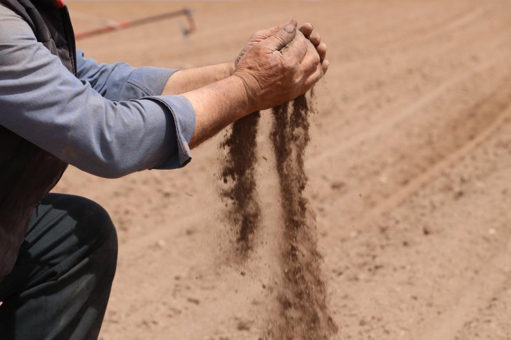 En büyük ikinci 'tahıl ambarı'nda kuraklık endişesi