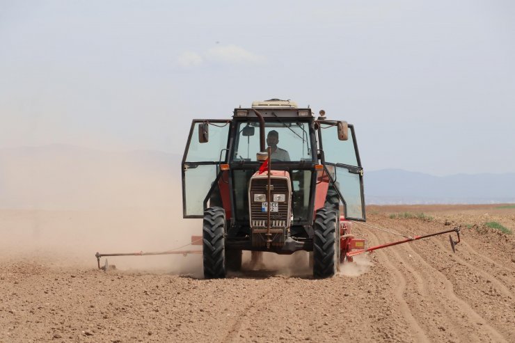En büyük ikinci 'tahıl ambarı'nda kuraklık endişesi