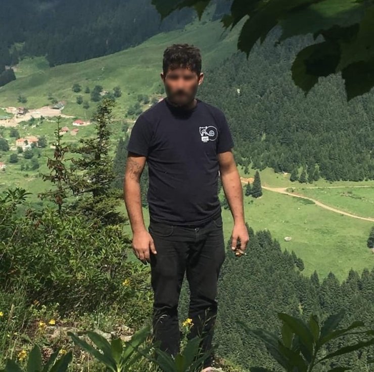 Kedi katiline 2 yıl hapis