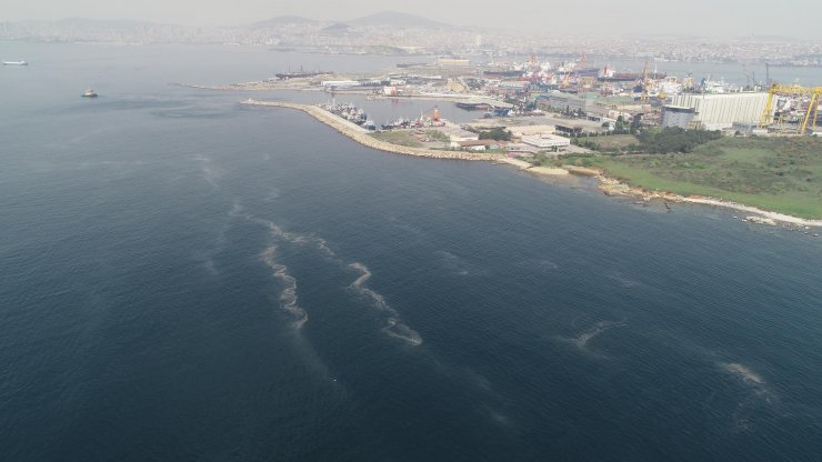 Korkutan görüntü; müsilaj her geçen dakika artıyor