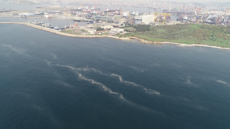 Korkutan görüntü; müsilaj her geçen dakika artıyor