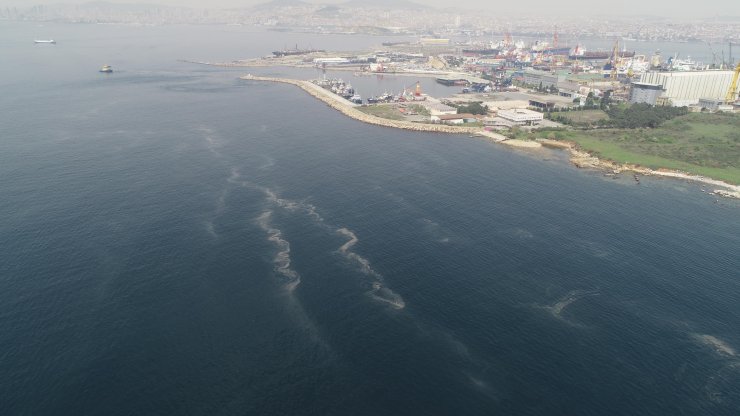 Korkutan görüntü; müsilaj her geçen dakika artıyor