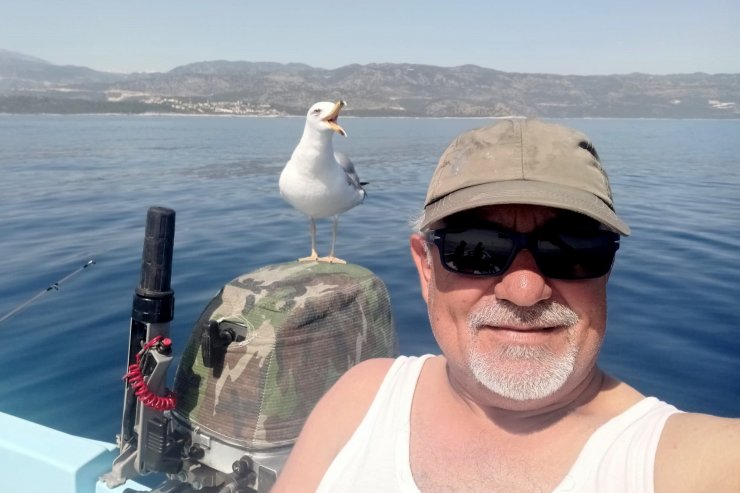 Martı 'Osman', avda teknesinden ayrılmıyor