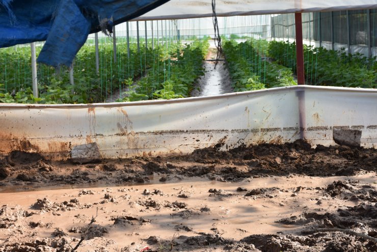 Metrekareye düşen 21 kilogram yağış çiftçiyi hem sevindirdi hem üzdü