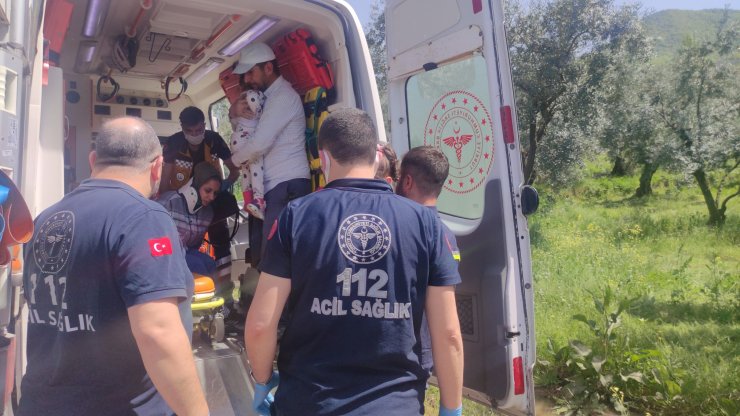 Otomobil, zeytin ağacına çarptı