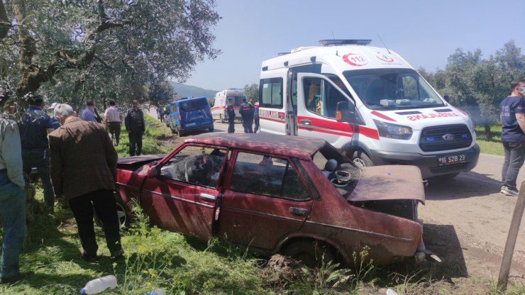 Otomobil, zeytin ağacına çarptı