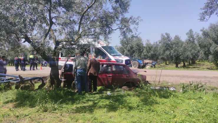 Otomobil, zeytin ağacına çarptı
