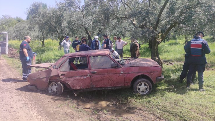 Otomobil, zeytin ağacına çarptı