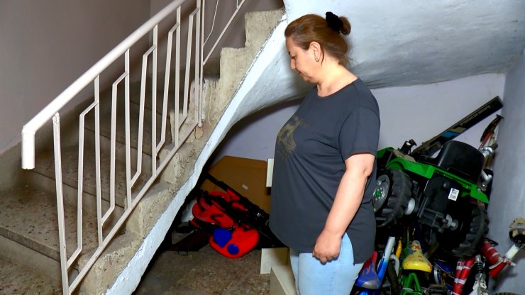 4 yavru kedi feci şekilde bulundu