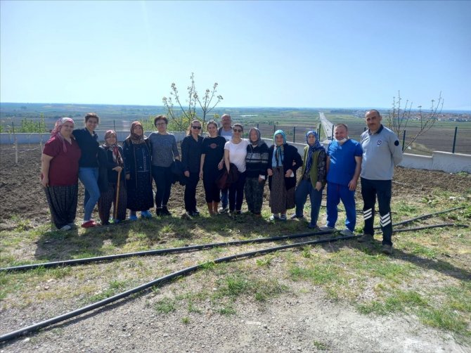 Edirne'de huzurevi sakinleri meyve sebze yetiştiriyor