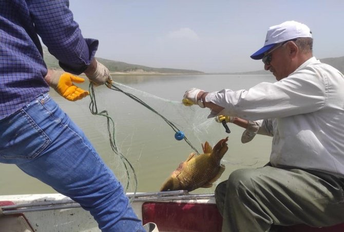 Kaçak avcılara operasyon