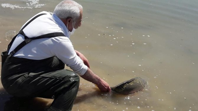 Kaçak avcılara operasyon