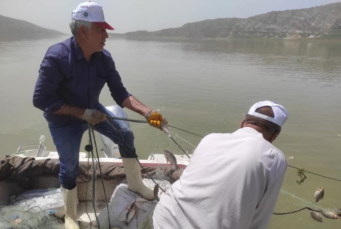 Kaçak avcılara operasyon