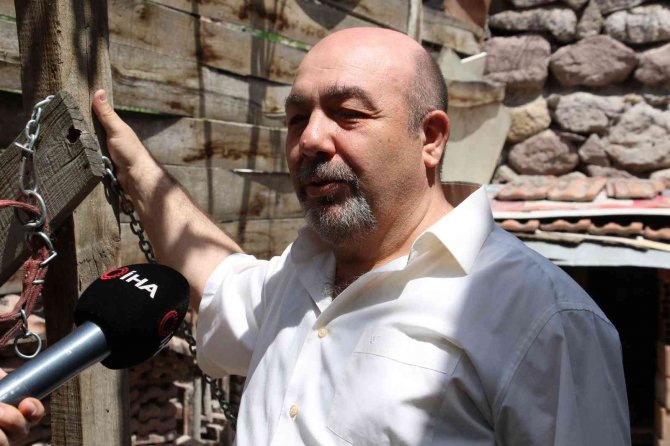 10 yıldır baktığı köpeği barınakta ortadan kayboldu