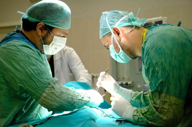 Beşinci kattan düşüp çenesi kırılan kedi sağlığına kavuştu