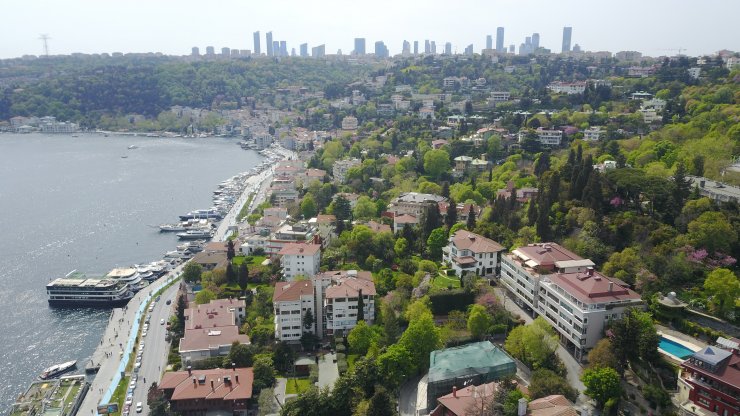 Çiçek açan erguvanlar İstanbul Boğazı'nı süsledi 