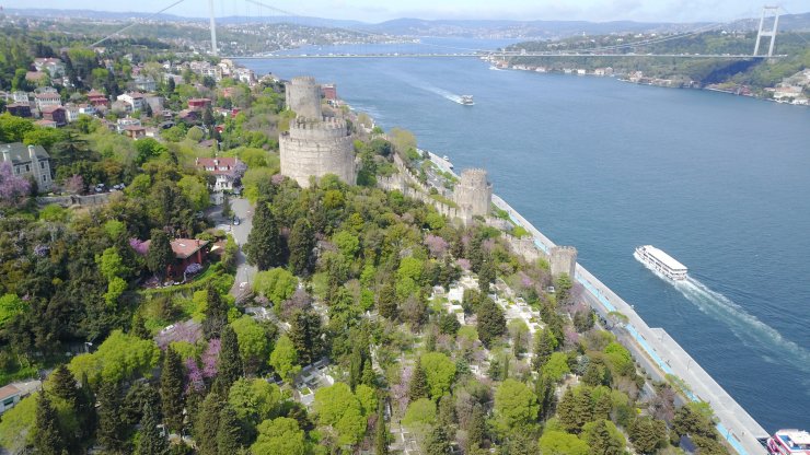 Çiçek açan erguvanlar İstanbul Boğazı'nı süsledi 