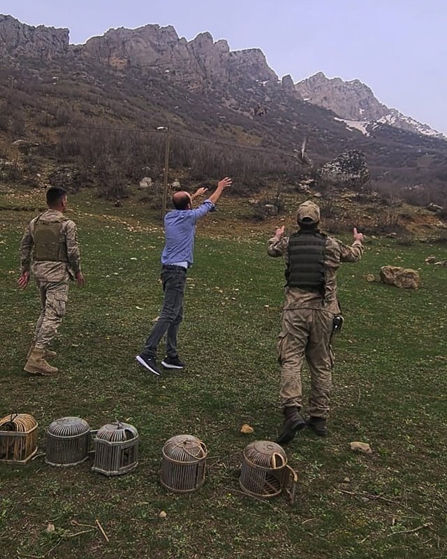 Kınalı keklikler doğaya bırakıldı, kafesleri yakıldı