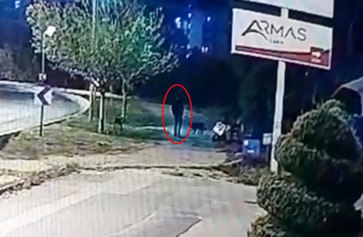 Köpeklerin saldırısında yaralandı