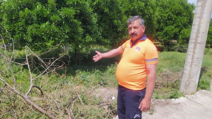 Sokak köpeklerinin saldırısında yaralanan Kardelen Yaren, taburcu oldu