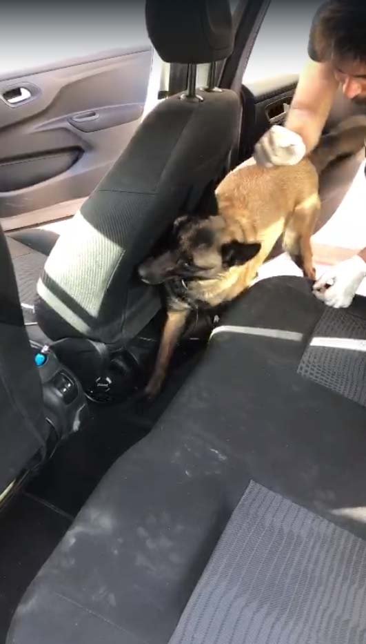 Uyuşturucu operasyonunda 2 tutuklama