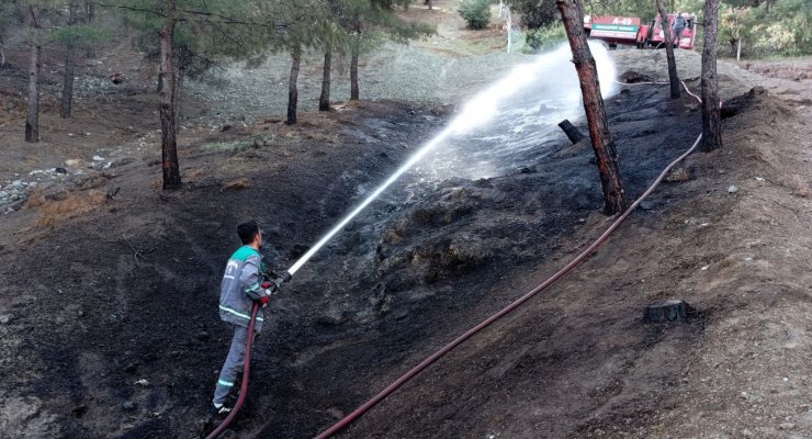 Gaziantep'te örtü yangını