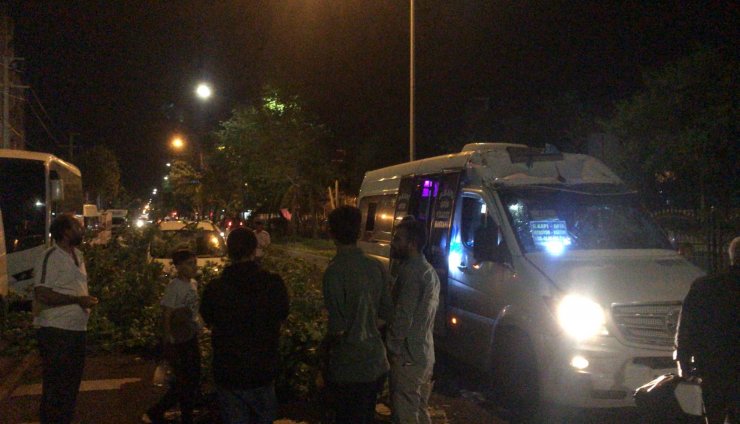 Şiddetli rüzgarın devirdiği ağaç, seyir halindeki minibüsün üzerine devrildi