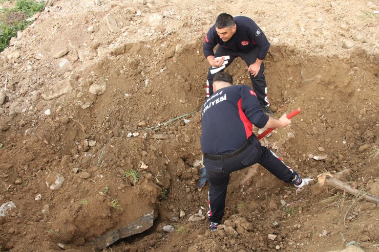 Toprak altında kalan anne köpek ve 3 yavrusunu itfaiye kurtardı