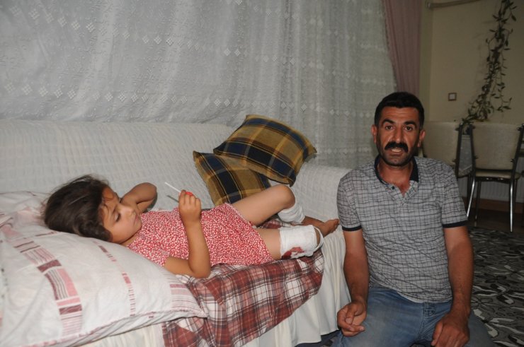 Oyun oynarken köpeğin saldırdığı çocuk yaralandı