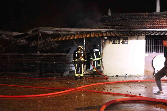 Alevlere teslim olan restoran küle döndü