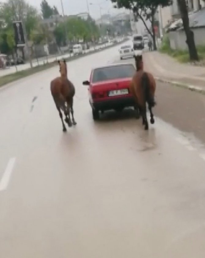 Ata işkence çektiren şahsa ceza yağdı
