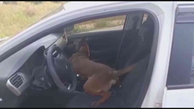 Ramazan Bayramı öncesi uyuşturucu tacirlerine darbe: 38 tutuklama