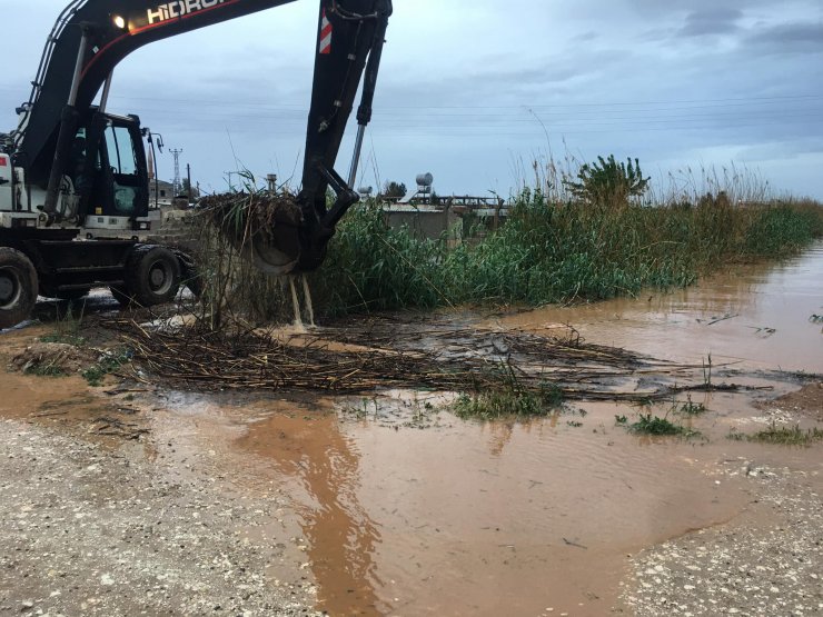 Sağanak yağış sele döndü, araziler ve hayvanlar sular altında kaldı