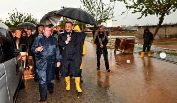 Sağanak yağış sele döndü, araziler ve hayvanlar sular altında kaldı