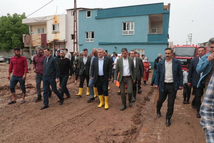Sağanak yağış sele döndü, araziler ve hayvanlar sular altında kaldı