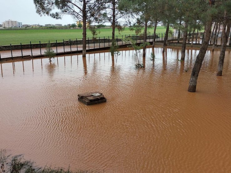 Sağanak yağış sele döndü, araziler ve hayvanlar sular altında kaldı