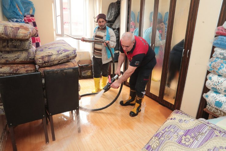 Sağanak yağış sele döndü, araziler ve hayvanlar sular altında kaldı